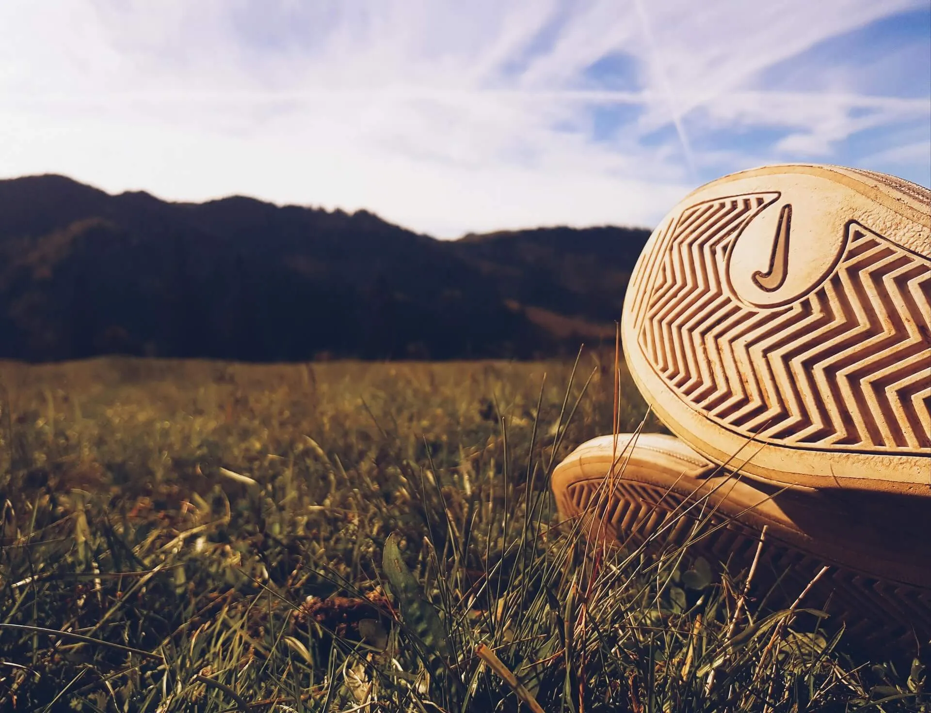 Digital Marketing Agency - Marketing Guide - Sustainability Marketing Agency